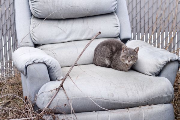 Recliner Disposal in Terre Haute